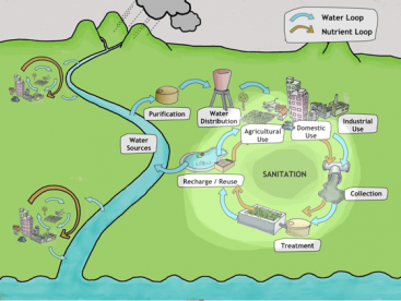 SEECON 2010 Nutrient cycle highlight